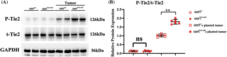 Figure S1