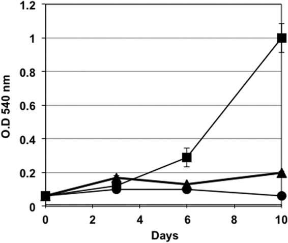 FIG 5