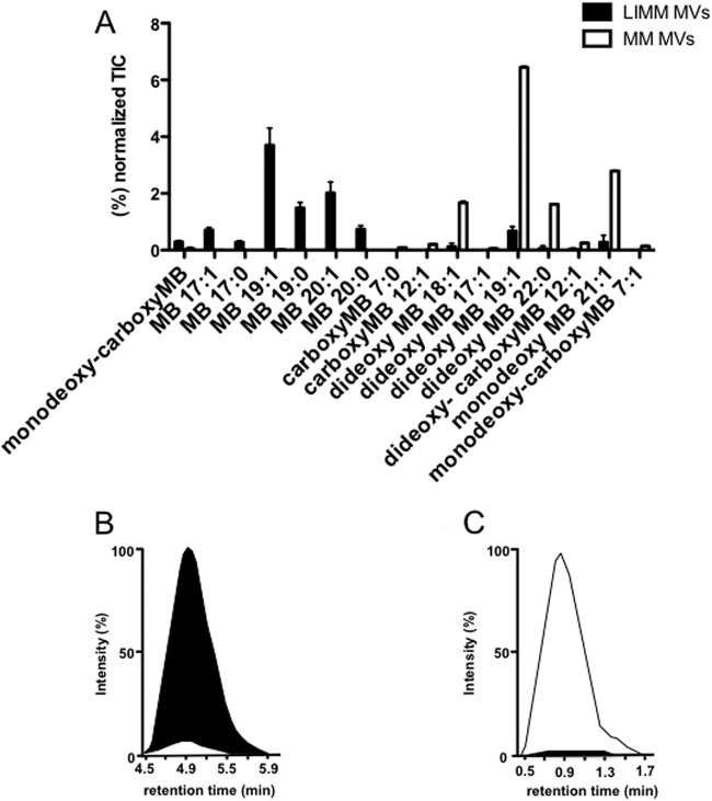 FIG 3