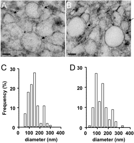 FIG 1