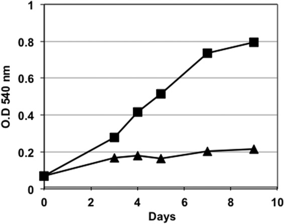 FIG 6