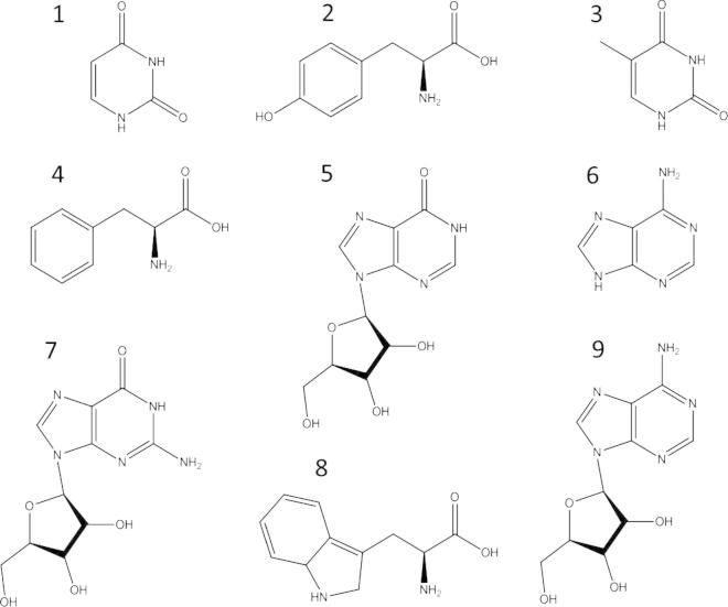 Fig. 2