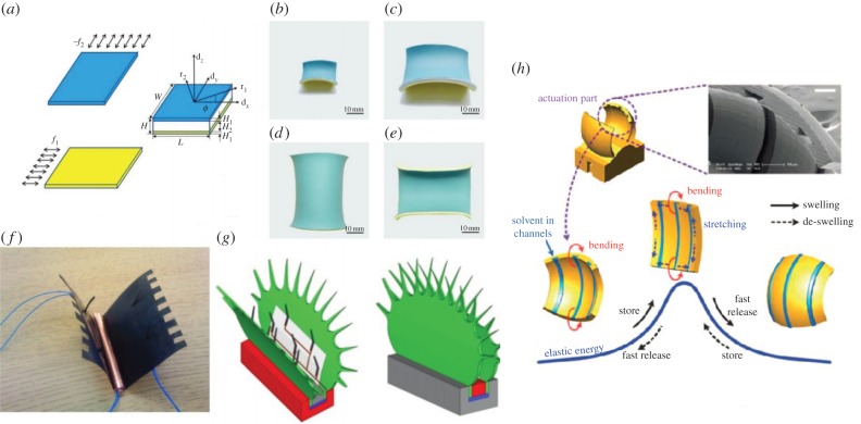 Figure 7.