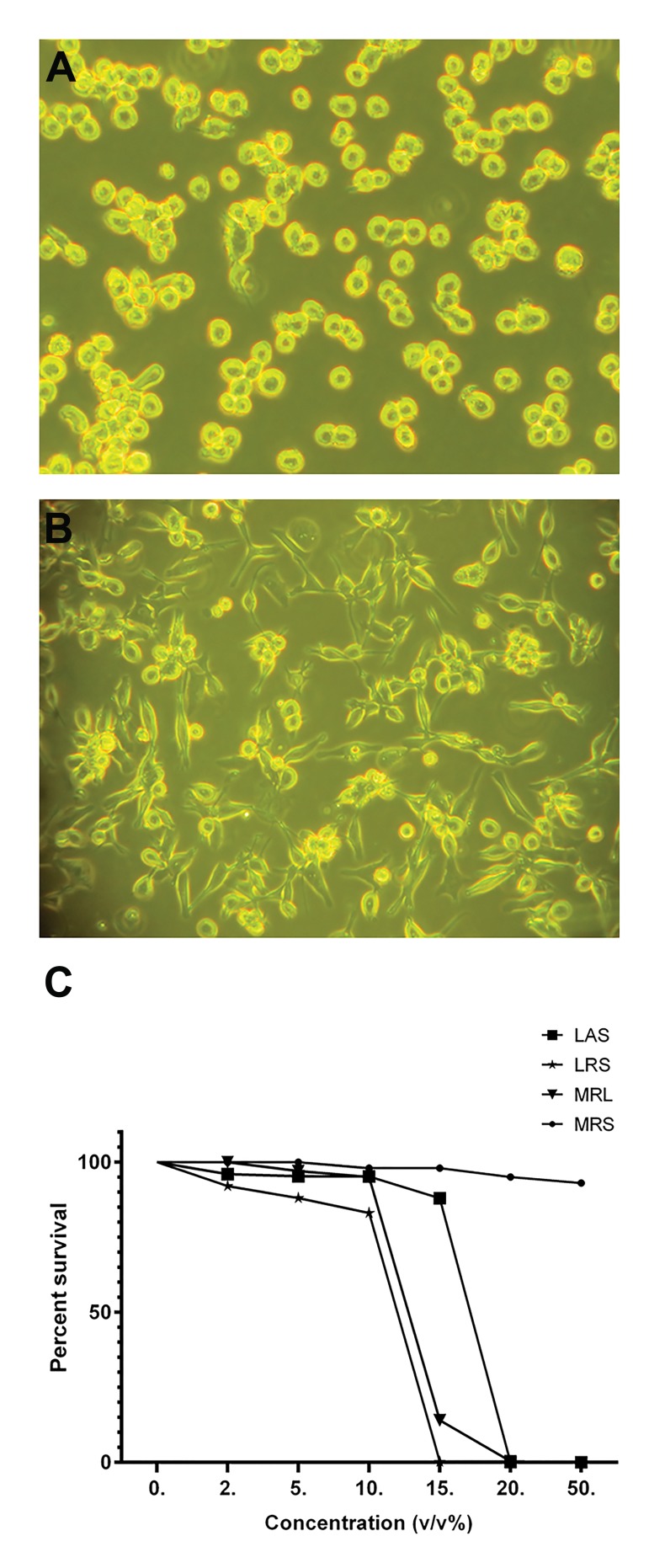 Fig.1