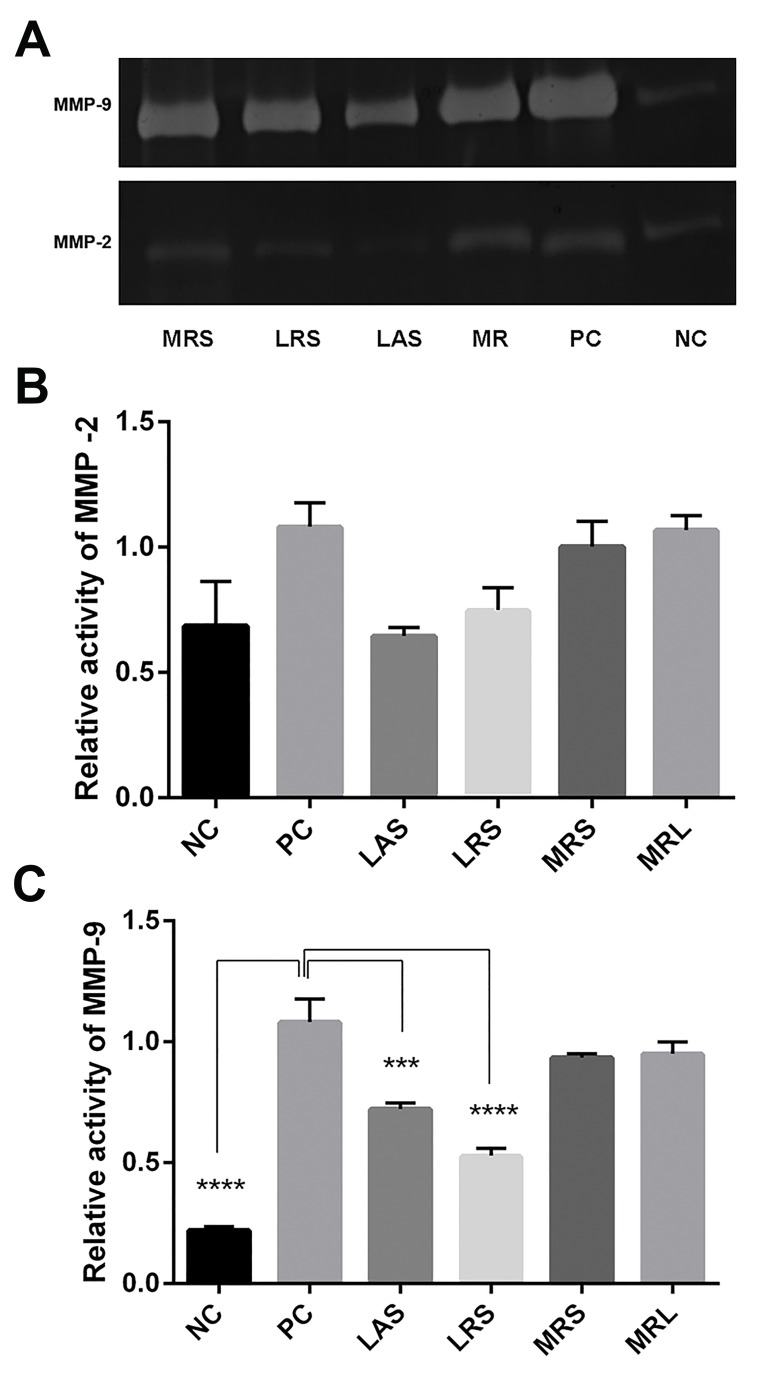 Fig.4