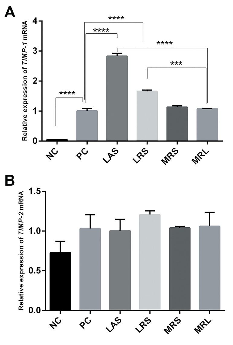 Fig.3