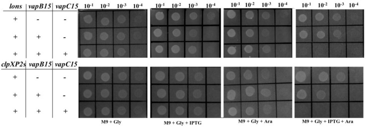 Figure 6