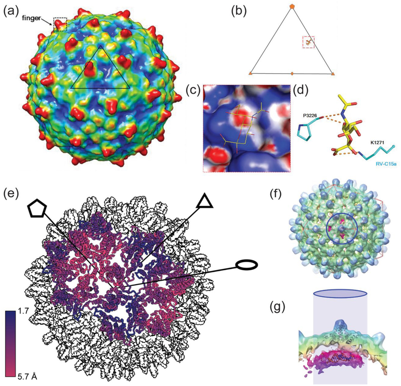 Figure 5.