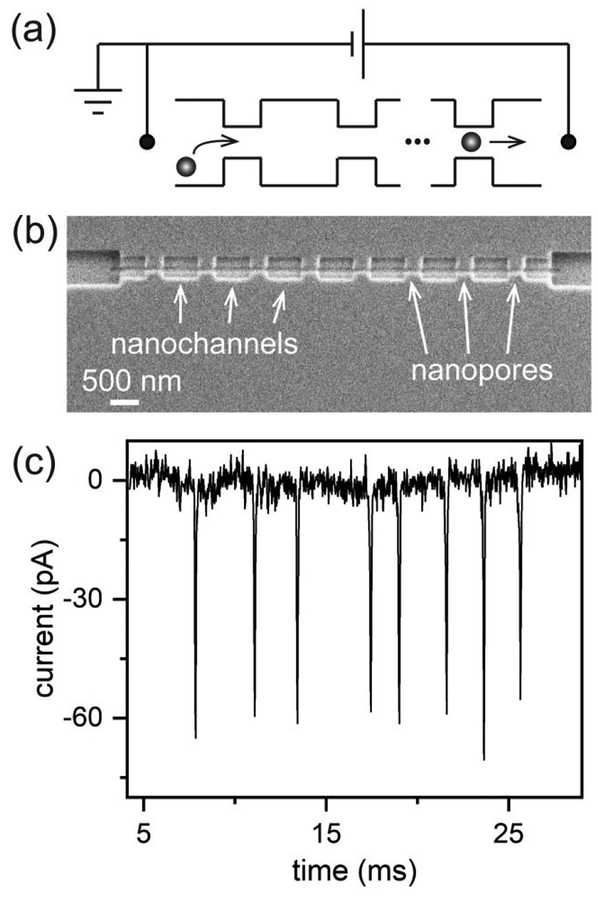 Figure 3.