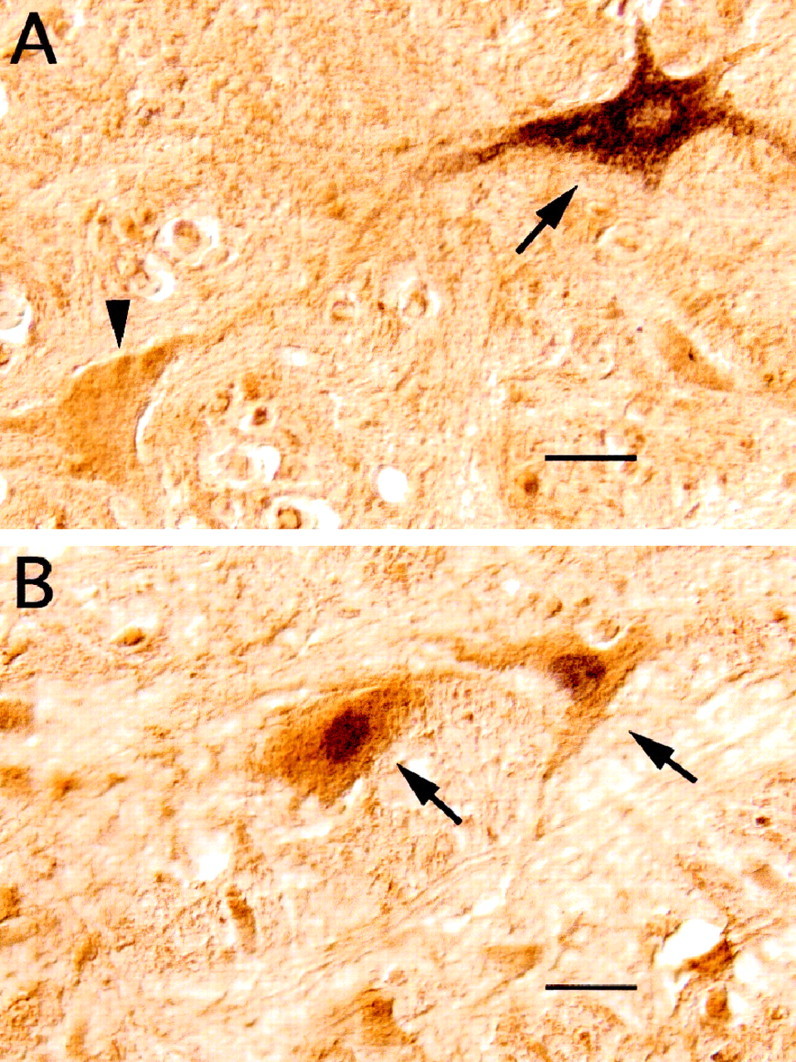 Fig. 9.