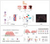 Graphical Abstract