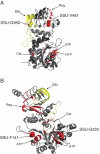 Fig. 3.