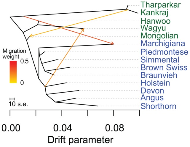 Figure 7