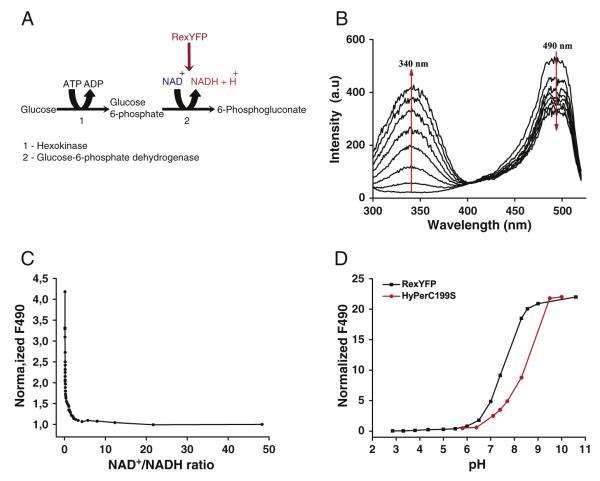 Fig. 2