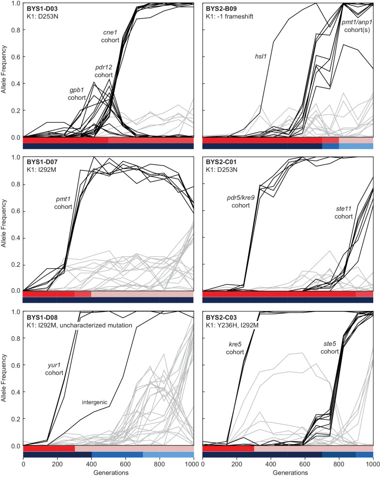 Figure 4—figure supplement 1.