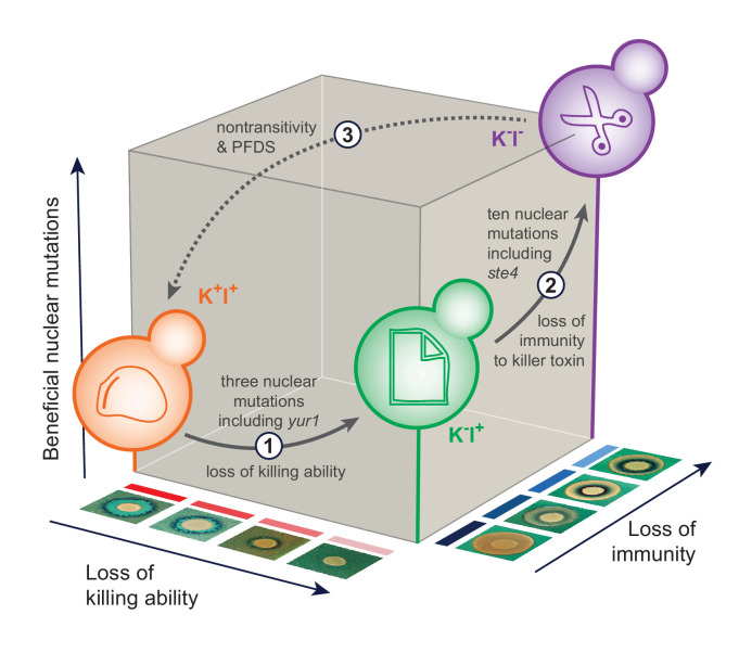 Figure 6.