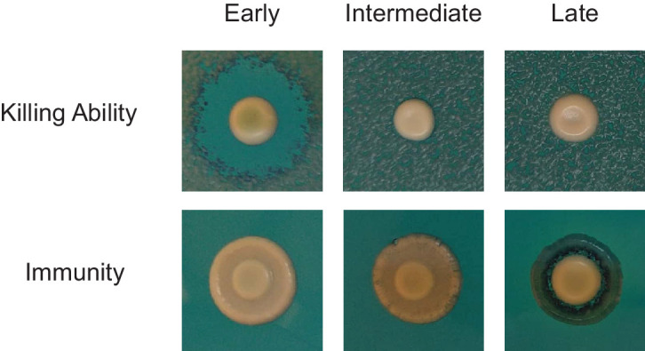 Figure 1—figure supplement 3.