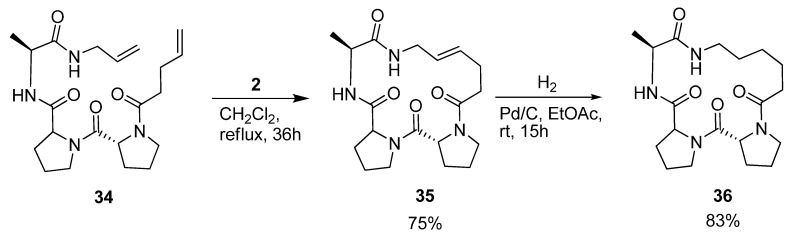 Scheme 5