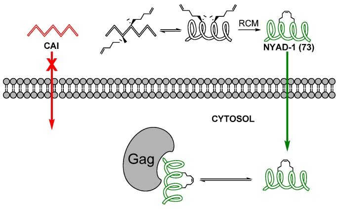 Figure 18