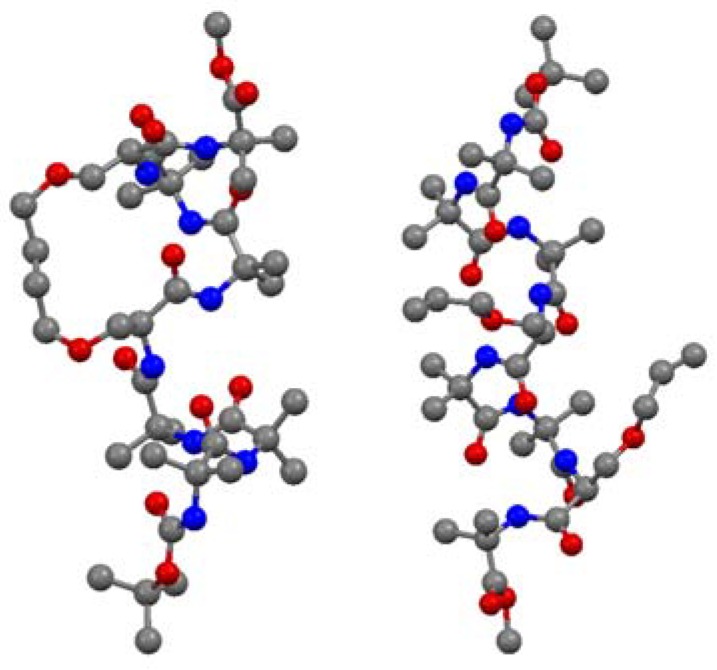 Figure 13