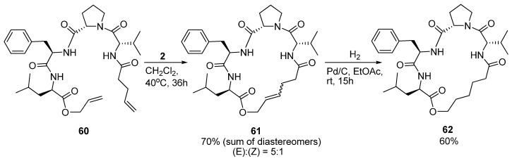 Scheme 8