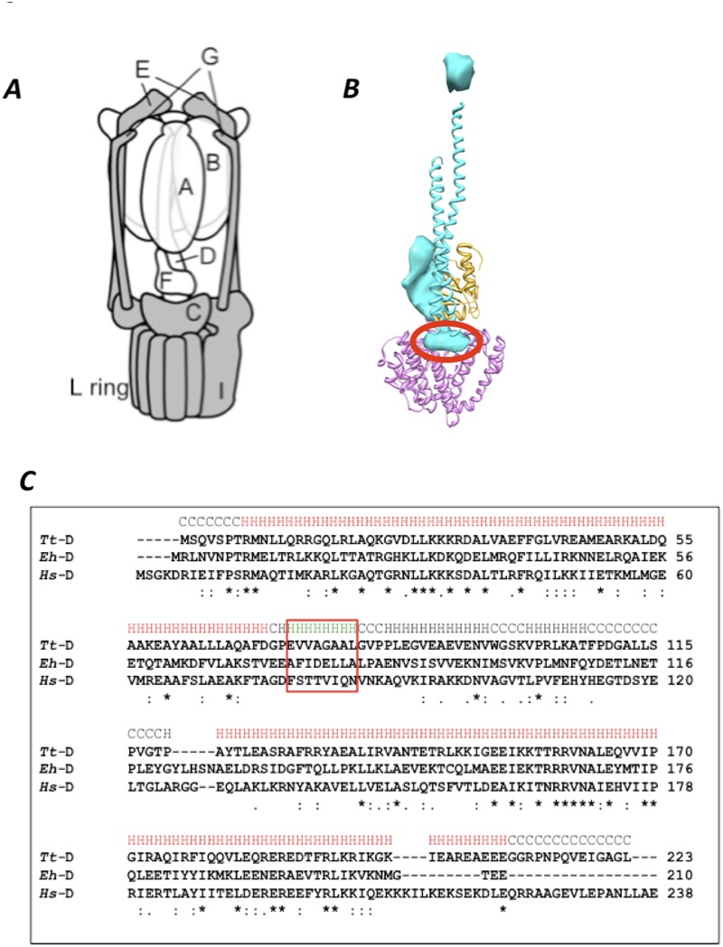 Fig 1