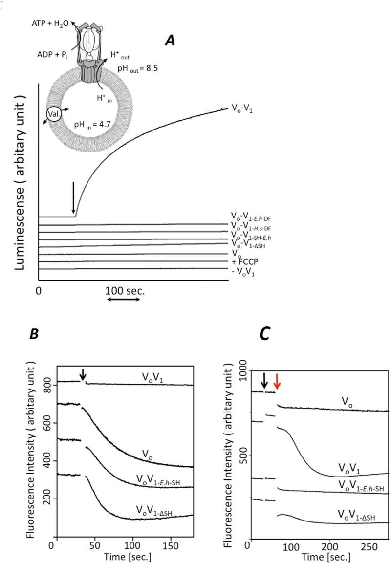 Fig 4