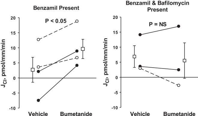 Fig. 10.