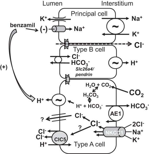 Fig. 9.