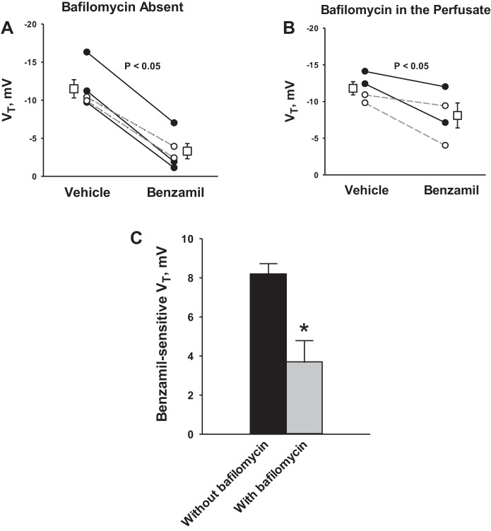 Fig. 7.