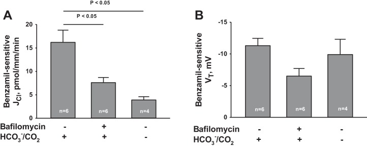 Fig. 8.