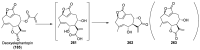 Scheme 53