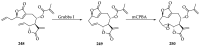 Scheme 51