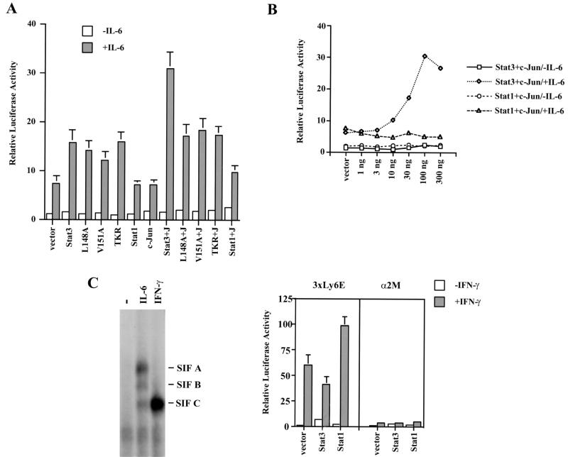 FIG. 6