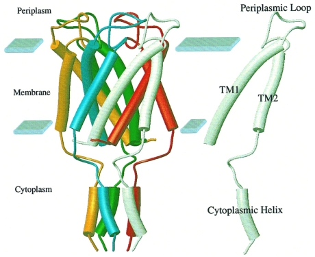 Figure 5.