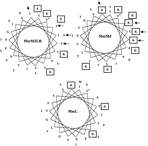 Figure 7.