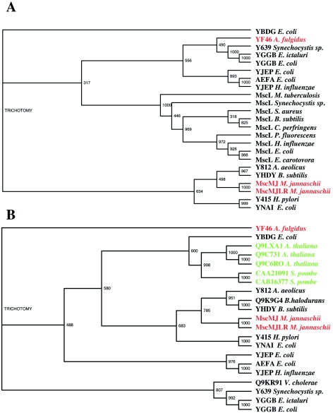 Figure 6.