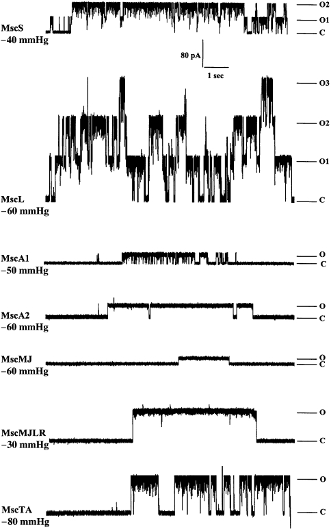 Figure 2.