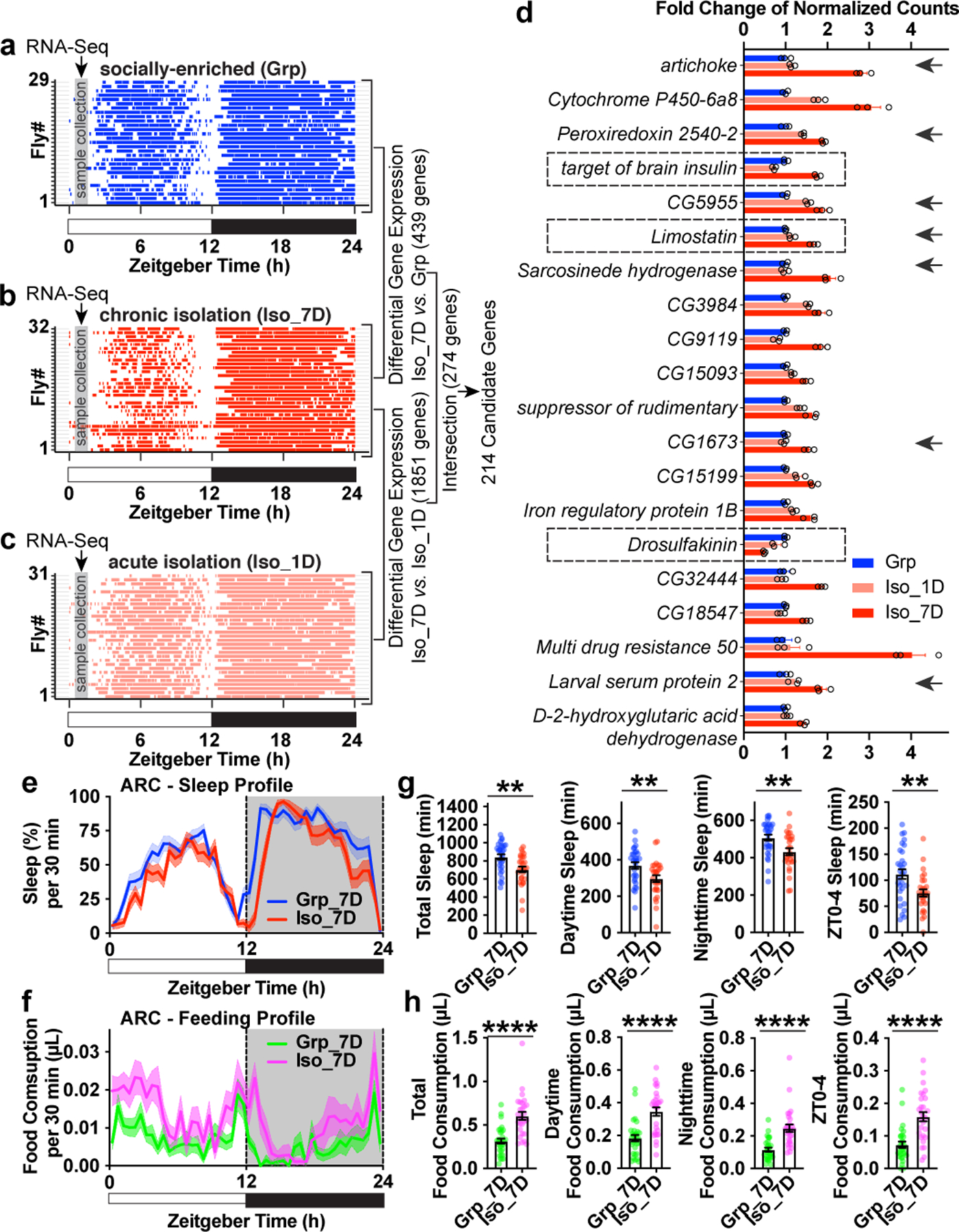 Fig. 2: