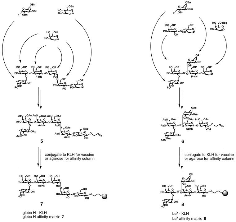 Scheme 1