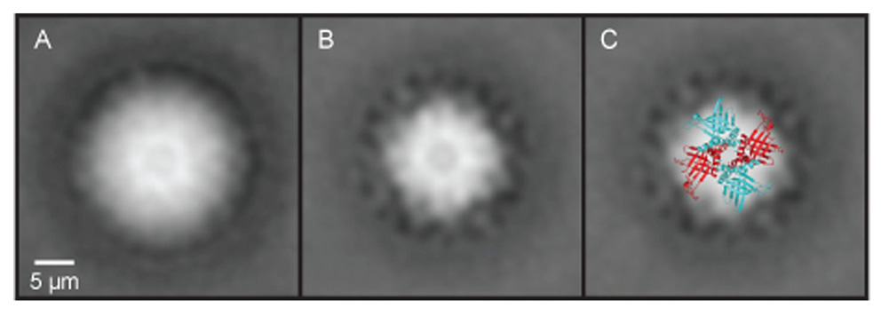 Fig. 3