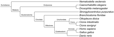 Figure 1: