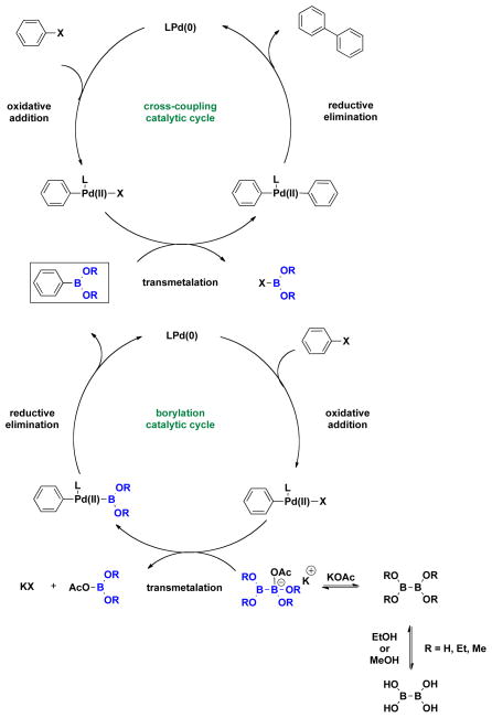 Scheme 2