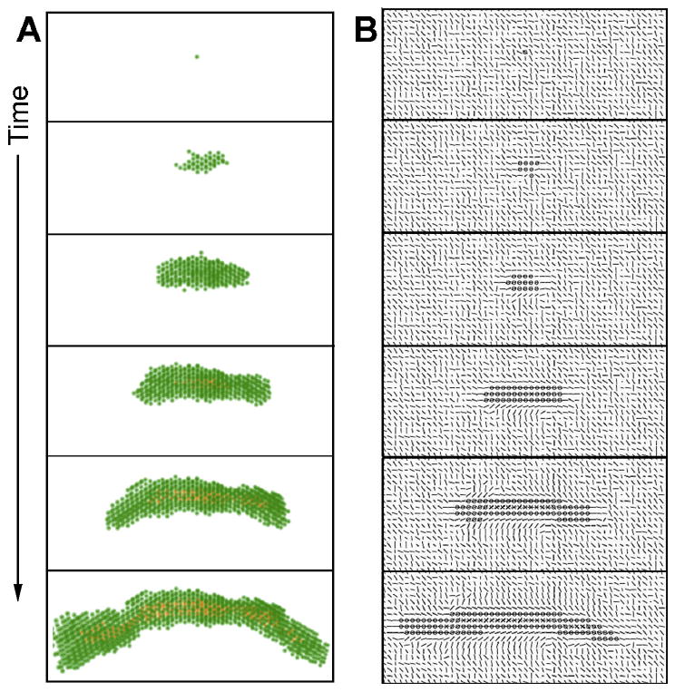 Fig. 9