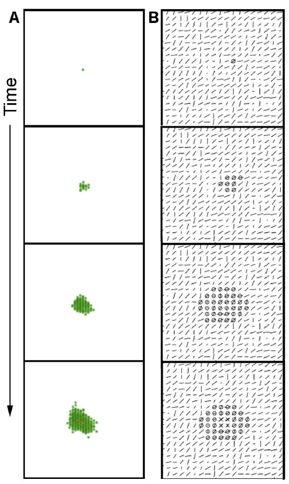 Fig. 10