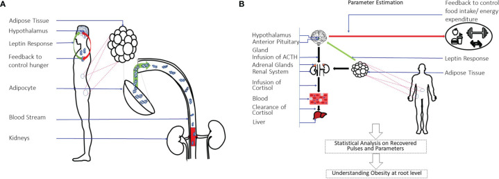 Figure 1