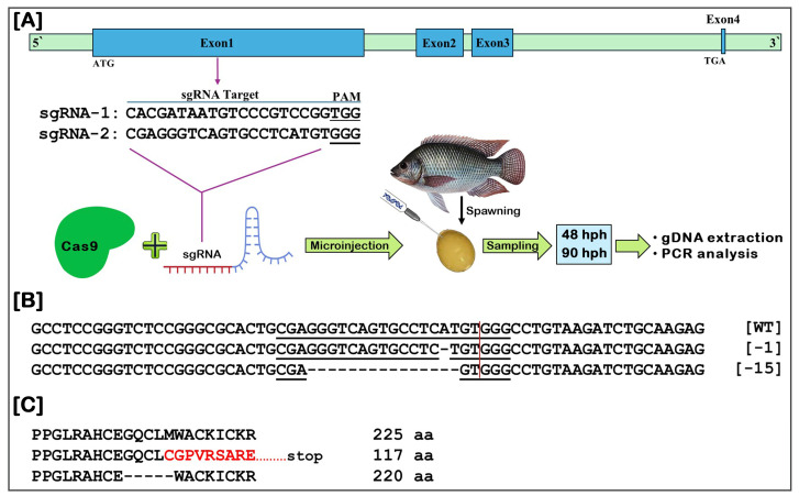 Figure 10