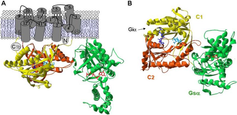 Fig 1