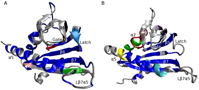 Figure 5