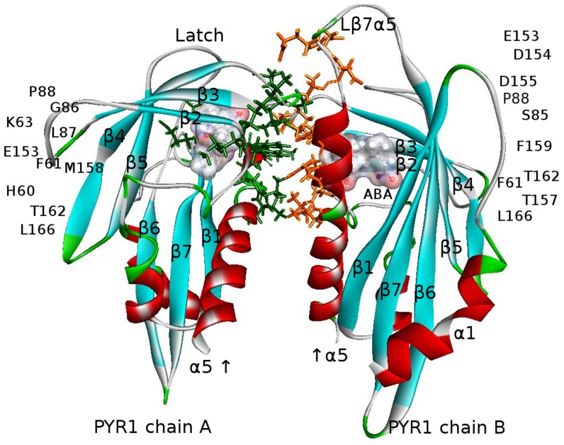 Figure 10